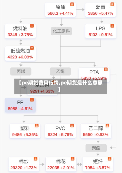 【pe期货费用行情,pe期货是什么意思】-第1张图片