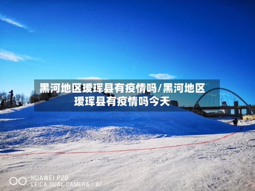 黑河地区瑷珲县有疫情吗/黑河地区瑷珲县有疫情吗今天-第3张图片