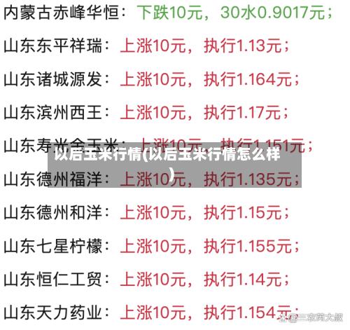 以后玉米行情(以后玉米行情怎么样)-第1张图片