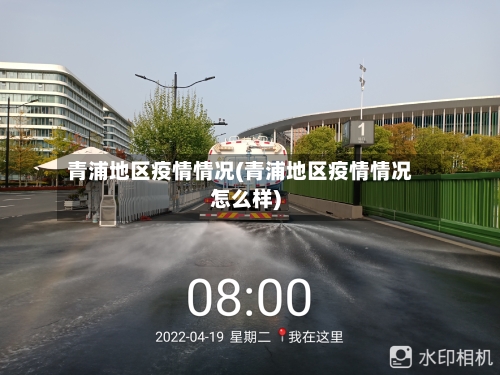 青浦地区疫情情况(青浦地区疫情情况怎么样)-第2张图片