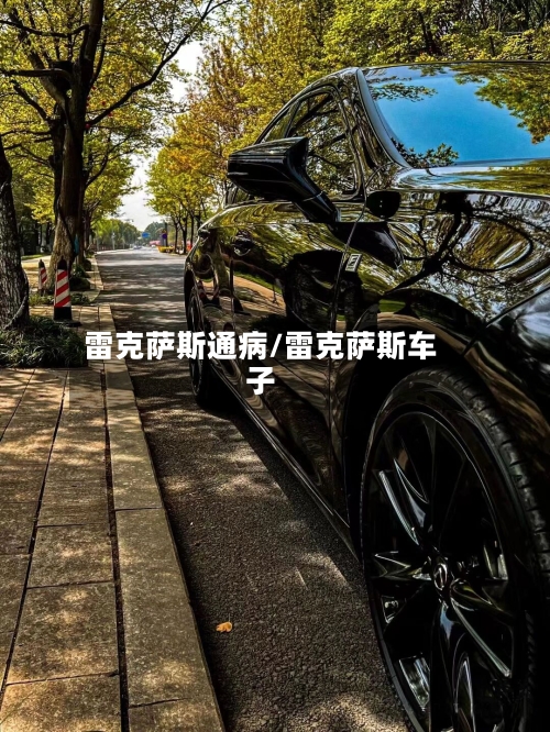 雷克萨斯通病/雷克萨斯车子-第3张图片