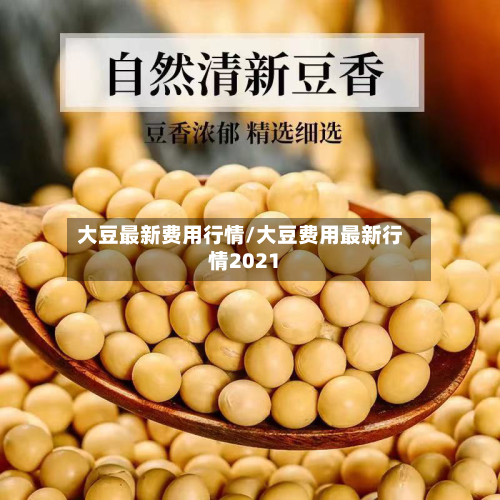 大豆最新费用行情/大豆费用最新行情2021-第1张图片