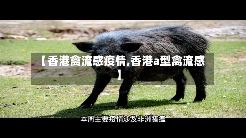 【香港禽流感疫情,香港a型禽流感】-第2张图片