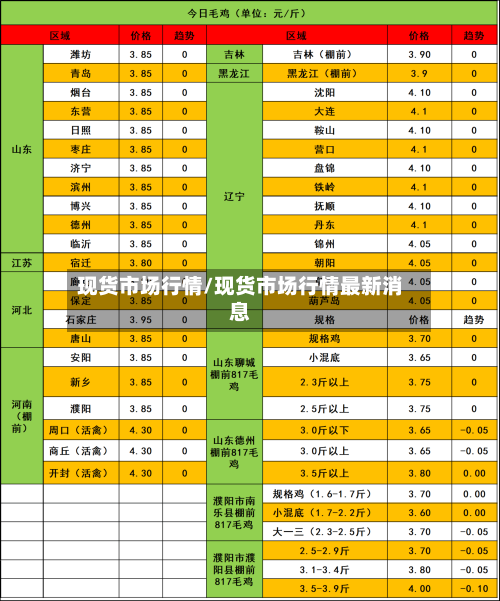 现货市场行情/现货市场行情最新消息-第1张图片