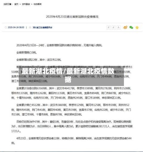 最新湖北疫情/最新湖北疫情数据-第3张图片
