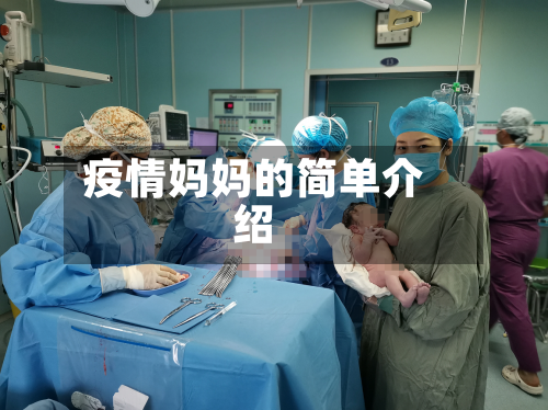 疫情妈妈的简单介绍-第2张图片