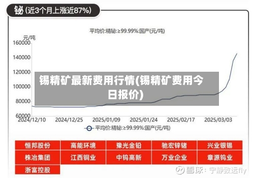 锡精矿最新费用行情(锡精矿费用今日报价)-第2张图片