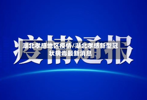 湖北孝感地区疫情/湖北孝感新型冠状病毒最新消息-第3张图片