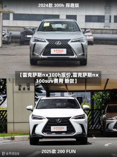 【雷克萨斯nx300h报价,雷克萨斯nx300suv费用 新款】-第1张图片