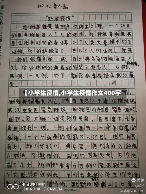 【小学生疫情,小学生疫情作文400字】-第2张图片