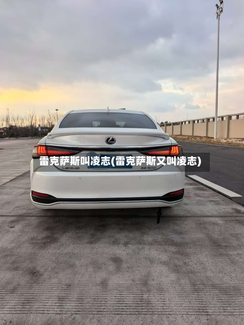 雷克萨斯叫凌志(雷克萨斯又叫凌志)-第1张图片