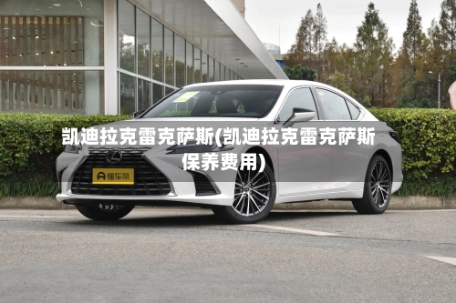 凯迪拉克雷克萨斯(凯迪拉克雷克萨斯保养费用)-第2张图片