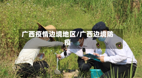 广西疫情边境地区/广西边境防疫-第1张图片