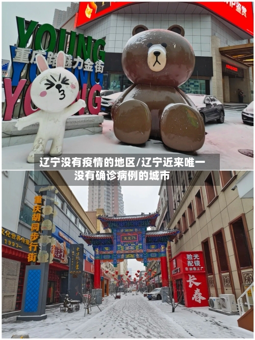 辽宁没有疫情的地区/辽宁近来唯一没有确诊病例的城市-第3张图片