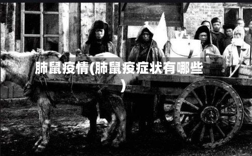 肺鼠疫情(肺鼠疫症状有哪些)-第3张图片