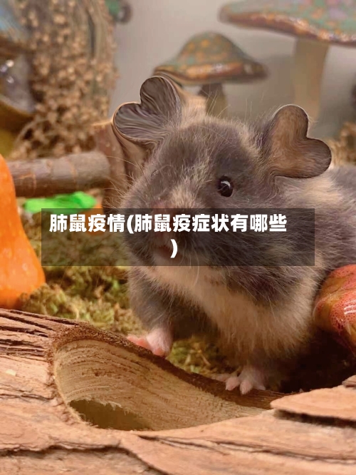 肺鼠疫情(肺鼠疫症状有哪些)-第1张图片