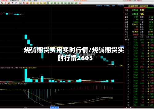 烧碱期货费用实时行情/烧碱期货实时行情2605-第3张图片