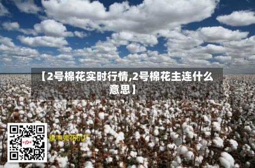 【2号棉花实时行情,2号棉花主连什么意思】-第2张图片