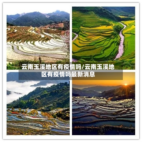 云南玉溪地区有疫情吗/云南玉溪地区有疫情吗最新消息-第2张图片