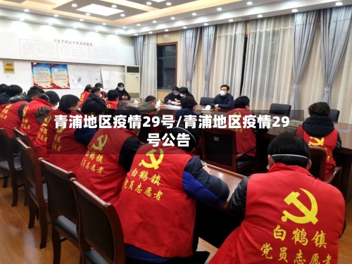青浦地区疫情29号/青浦地区疫情29号公告-第2张图片