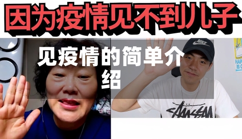 见疫情的简单介绍-第1张图片