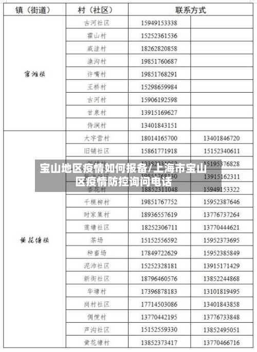 宝山地区疫情如何报备/上海市宝山区疫情防控询问电话-第2张图片
