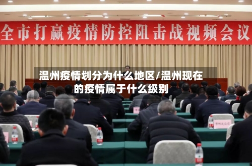 温州疫情划分为什么地区/温州现在的疫情属于什么级别-第1张图片