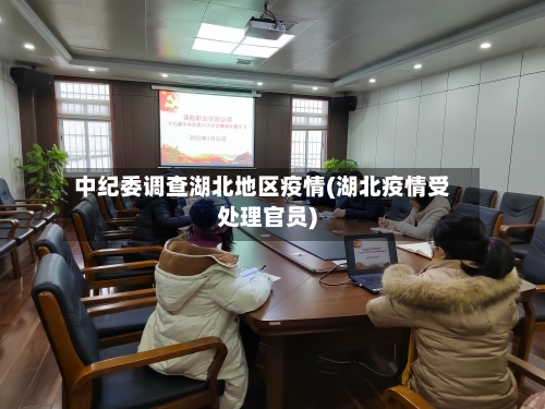 中纪委调查湖北地区疫情(湖北疫情受处理官员)-第2张图片