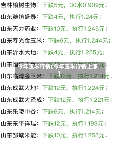 今年玉米行情(今年玉米行情上涨)-第1张图片