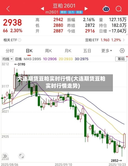 大连期货豆粕实时行情(大连期货豆粕实时行情走势)-第2张图片