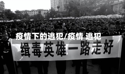 疫情下的逃犯/疫情 逃犯-第2张图片