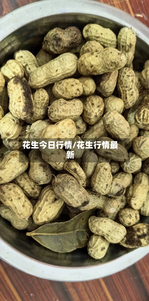 花生今日行情/花生行情最新-第1张图片