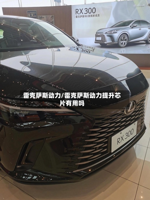 雷克萨斯动力/雷克萨斯动力提升芯片有用吗-第3张图片