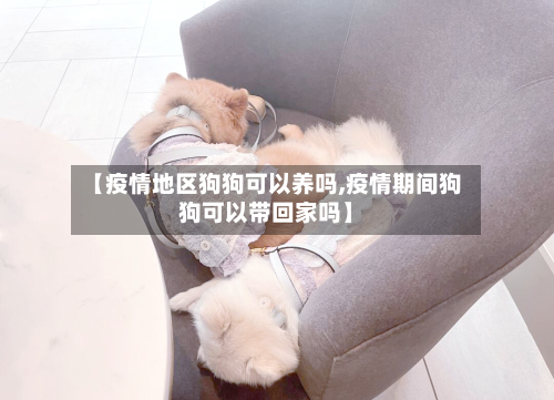 【疫情地区狗狗可以养吗,疫情期间狗狗可以带回家吗】-第1张图片