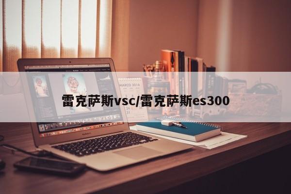 雷克萨斯vsc/雷克萨斯es300