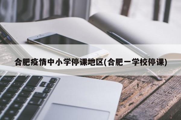 合肥疫情中小学停课地区(合肥一学校停课)